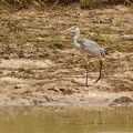 Niger2009 (9).jpg