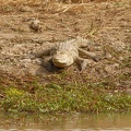 Niger2009 (11).jpg