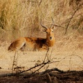 Niger2009 (22).jpg