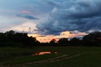 South Luangwa national park, zambia