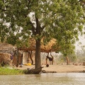 Niger2009 (60).jpg