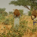 Niger2009 (65).jpg