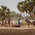 Niger2009(16).jpg