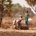 Niger2009(17).jpg