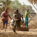 Niger2009(19).jpg