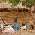 Niger2009(96).jpg