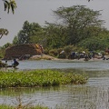 Niger2009(106).jpg