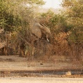 Niger2009 (48).jpg