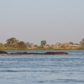 Niger2009 (106).jpg