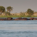 Niger2009 (112).jpg