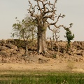 Niger2009 (62).jpg